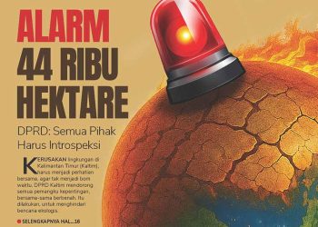 Alarm 44 Ribu Hektare