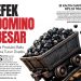 Efek Domino Besar, Jika Produksi Batu Bara Turun Drastis