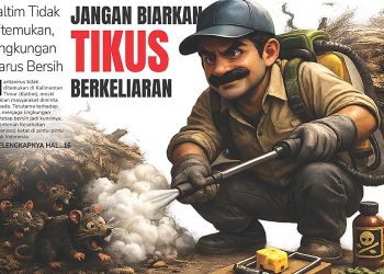 Jangan Biarkan Tikus Berkeliaran, Kaltim Tidak Ditemukan, Lingkungan Harus Bersih