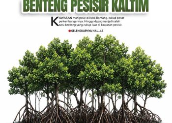 Bentang Pesisir Kaltim, Mangrove di Kota Bontang