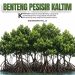 Bentang Pesisir Kaltim, Mangrove di Kota Bontang