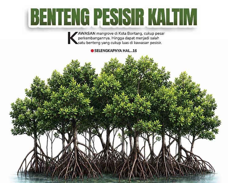 Bentang Pesisir Kaltim, Mangrove di Kota Bontang