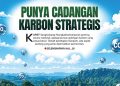 Punya Cadangan Karbon Strategis, Karst Sangkulirang-Mangkalihat