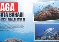 Jaga Wisata Bahari Berkelanjutan Pulau Maratua