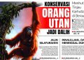 Konservasi Orang Utan jadi Dalih Menhut Tinjau Karhutla di Berau