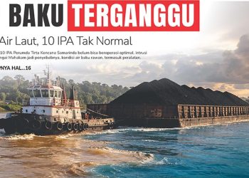 Air Baku Terganggu, Intrusi Air Laut, 10 IPA Tak Normal