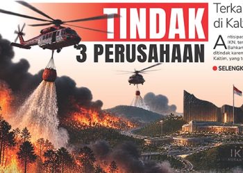 Tindak 3 Perusahaan, Terkait Karhutla di Kaltim